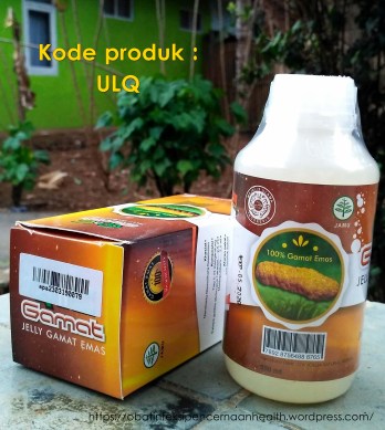 Obat Infeksi Pencernaan Alami