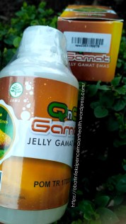 Obat Infeksi Pencernaan Alami